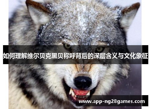 如何理解维尔贝克黑贝称呼背后的深层含义与文化象征